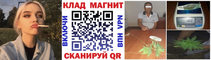 МЕФ Старица