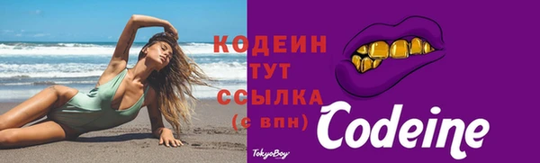 СК Верхний Тагил