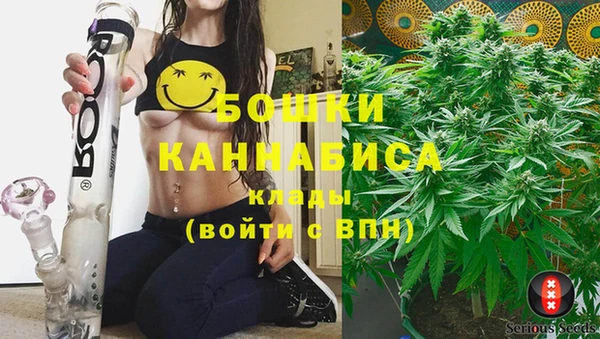 трава Бородино