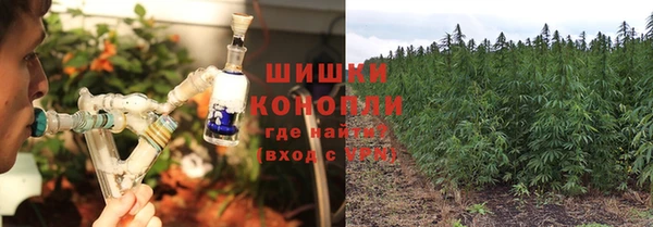 гидра Бронницы