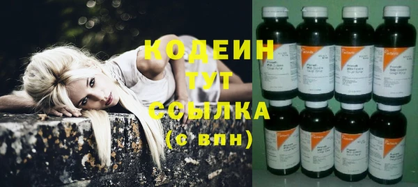 СК Верхний Тагил