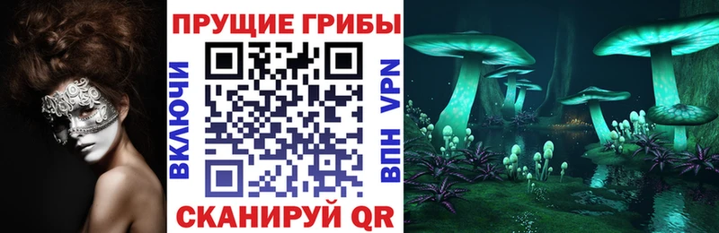 Псилоцибиновые грибы мухоморы дарнет шоп Старица